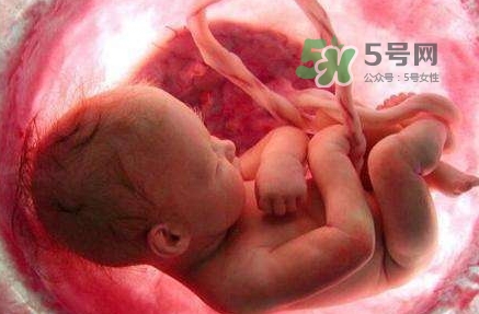 胎兒什么時(shí)候入盆？胎兒入盆后胎動(dòng)會(huì)減少嗎？