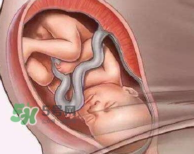 胎兒什么時(shí)候入盆？胎兒入盆后胎動(dòng)會(huì)減少嗎？