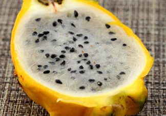 麒麟果會拉肚子嗎？麒麟果拉肚子怎么辦？