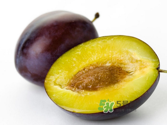 西梅怎么挑選？新鮮西梅怎么保存