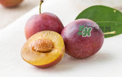 西梅是李子嗎？西梅是什么季節(jié)的水果