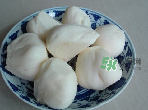 涼薯是什么東西？涼薯是地瓜嗎？