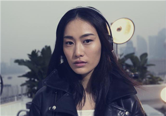 維多利亞的秘密2017有秦舒培嗎？秦舒培入選了嗎？