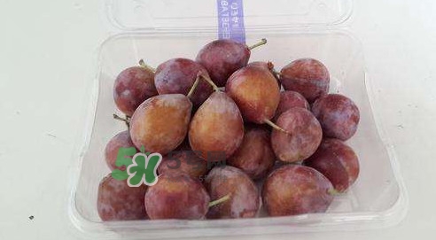 西梅什么時(shí)候上市？新疆西梅什么時(shí)候上市