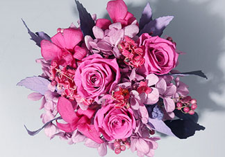 joyflower是哪國品牌？joyflower怎么樣？