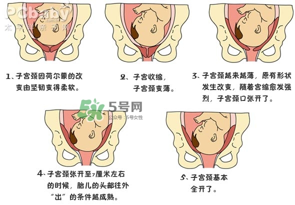 生孩子的過程是怎樣的？生孩子的真實過程