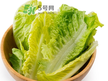 生菜不能和什么一起吃_生菜不可以和什么同吃 生菜不能和什么一起吃_生菜不可以和什么同吃