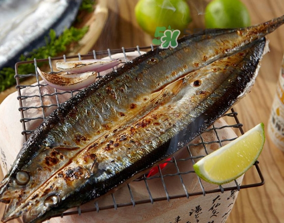 秋刀魚有刺嗎？秋刀魚刺多嗎？