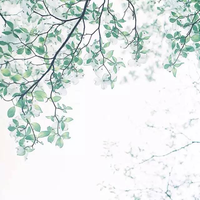 這世上，只有一種男人不會出軌