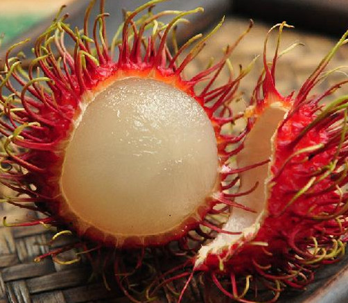 紅毛丹是哪里的特產(chǎn)？紅毛丹是什么季節(jié)的水果