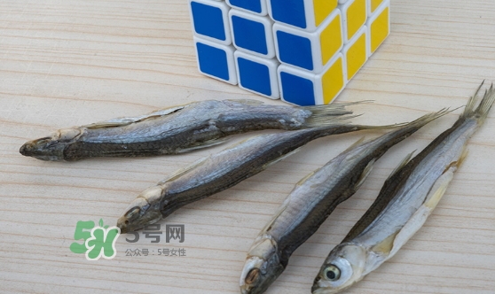 刁子魚(yú)是發(fā)物嗎？刁子魚(yú)是不是發(fā)物