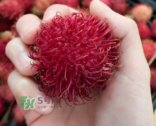 紅毛丹是什么水果？紅毛丹是熱性水果嗎？