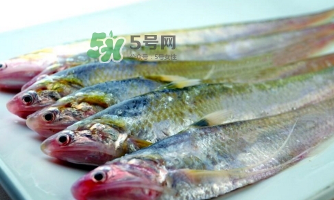 刁子魚是秋刀魚嗎？刁子魚是海魚嗎？