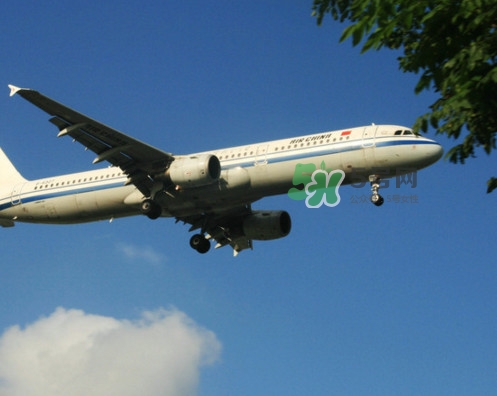 紅毛丹可以帶上飛機(jī)嗎？紅毛丹能帶上飛機(jī)嗎