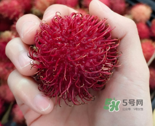 吃紅毛丹對身體有什么好處？紅毛丹有什么營養(yǎng)價值