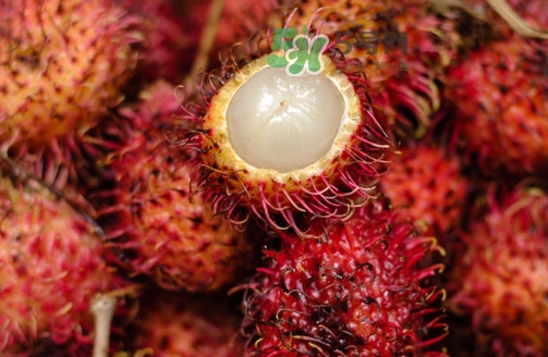 紅毛丹的核可以種嗎？紅毛丹的核怎么種