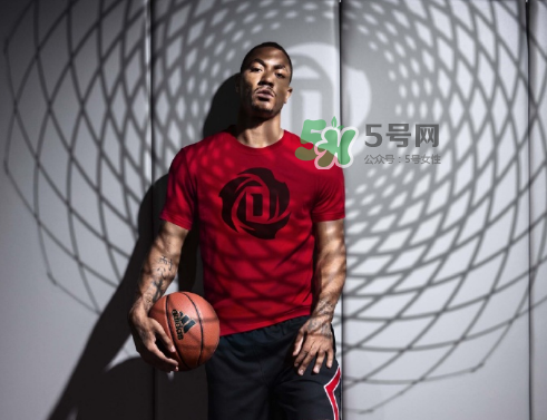 2017羅斯中國(guó)行是什么時(shí)候？2017羅斯中國(guó)行行程安排