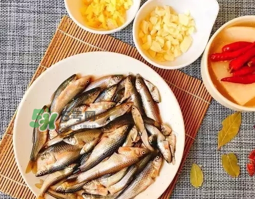 刁子魚多少錢一斤？刁子魚價格表