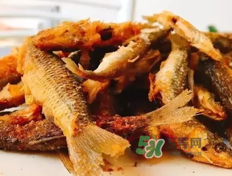 刁子魚多少錢一斤？刁子魚價格表