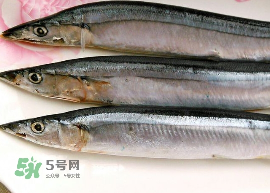 秋刀魚(yú)是不是鲅魚(yú)？秋刀魚(yú)和鲅魚(yú)的區(qū)別