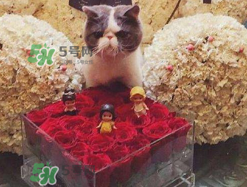 七夕怎么曬禮物_七夕曬禮物圖片_曬男朋友七夕送禮物說(shuō)說(shuō)