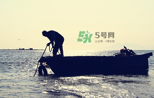 剝皮魚孕婦可以吃嗎？懷孕可以吃剝皮魚嗎？