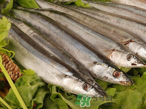 秋刀魚(yú)為什么那么便宜？秋刀魚(yú)為什么叫秋刀魚(yú)