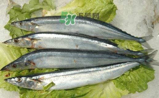 秋刀魚(yú)為什么那么便宜？秋刀魚(yú)為什么叫秋刀魚(yú)