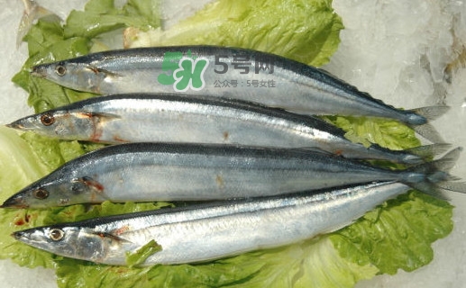 秋刀魚有魚鱗嗎？秋刀魚有寄生蟲嗎