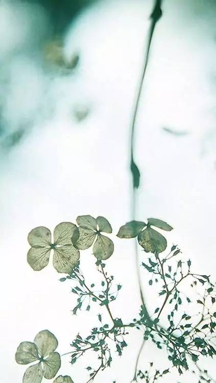 這世上，只有一種男人不會出軌