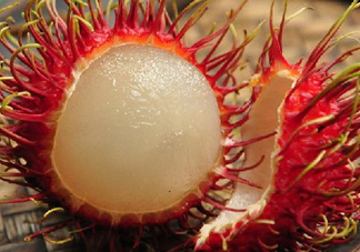 紅毛丹多少錢(qián)一斤 紅毛丹怎么吃肉不粘模