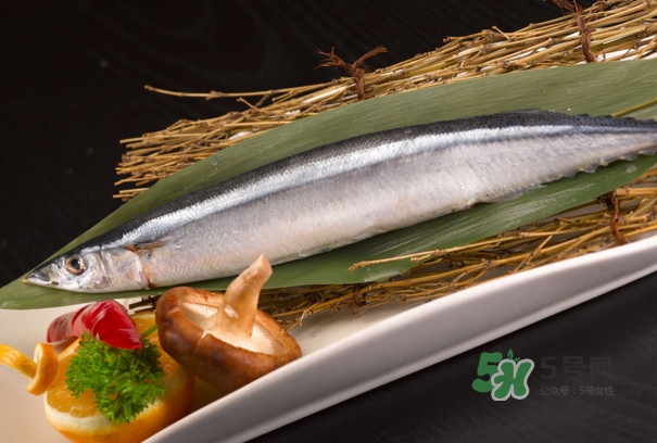 秋刀魚(yú)是不是鲅魚(yú)？秋刀魚(yú)和鲅魚(yú)的區(qū)別