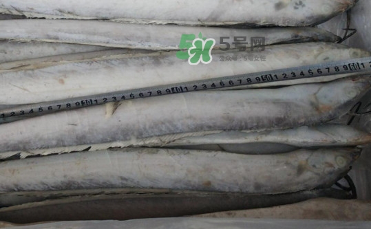 秋刀魚怎么殺？秋刀魚如何清洗