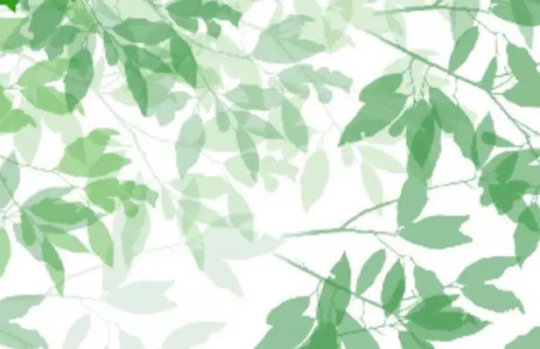 這世上，只有一種男人不會出軌