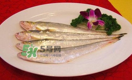 秋刀魚是刀魚嗎？秋刀魚和刀魚的區(qū)別
