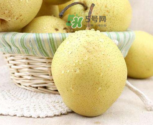 雪花梨什么時(shí)候成熟？雪花梨幾月份成熟？