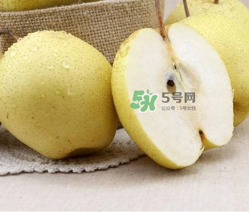 雪花梨什么時(shí)候成熟？雪花梨幾月份成熟？