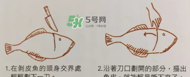 剝皮魚為什么要剝皮？剝皮魚的皮有毒嗎？
