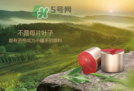 小罐茶是什么茶？小罐茶是哪八種茶？