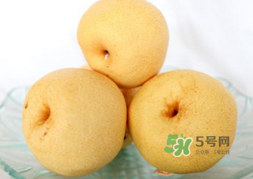 貢梨是雪梨嗎？貢梨和雪梨的區(qū)別