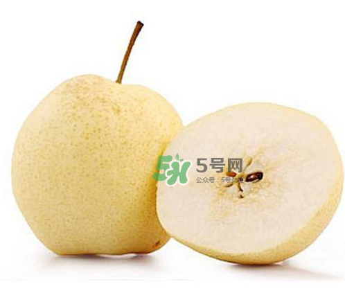 貢梨是雪梨嗎？貢梨和雪梨的區(qū)別