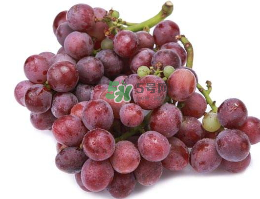 心形葡萄什么品種？心形葡萄怎么種？