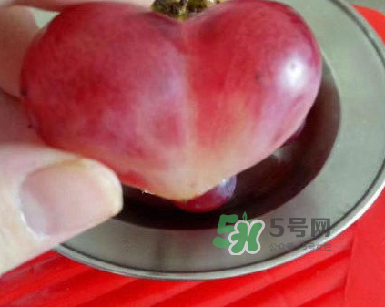 心形葡萄什么品種？心形葡萄怎么種？