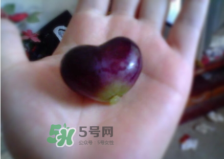 心形葡萄能吃嗎？心形葡萄和普通葡萄的區(qū)別
