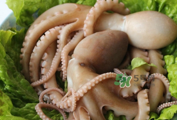 八爪魚(yú)的頭能吃嗎？八爪魚(yú)的頭里面是什么