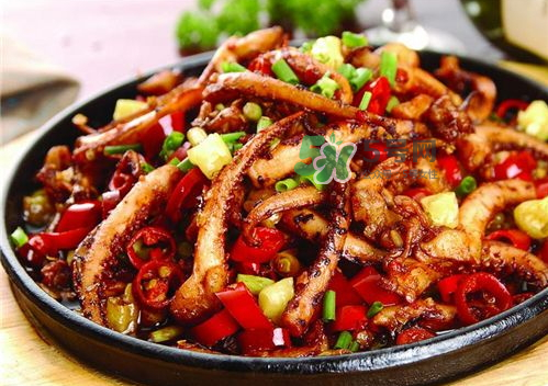 魷魚多少錢一斤市場價2022 魷魚的營養(yǎng)價值和功效 魷魚多少錢一斤市場價2022 魷魚的營養(yǎng)價值和功效