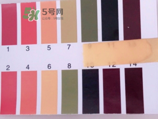 hr綠寶瓶新肌水怎么用？赫蓮娜綠寶瓶新肌水使用方法