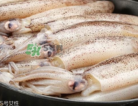 海兔子是什么？海兔子是墨魚(yú)嗎