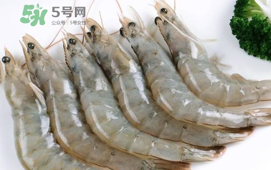 厄瓜多爾蝦是海蝦嗎？厄瓜多爾蝦好吃嗎？