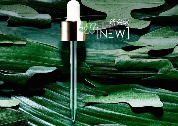 綠寶瓶和小棕瓶哪個好？綠寶瓶和小棕瓶對比